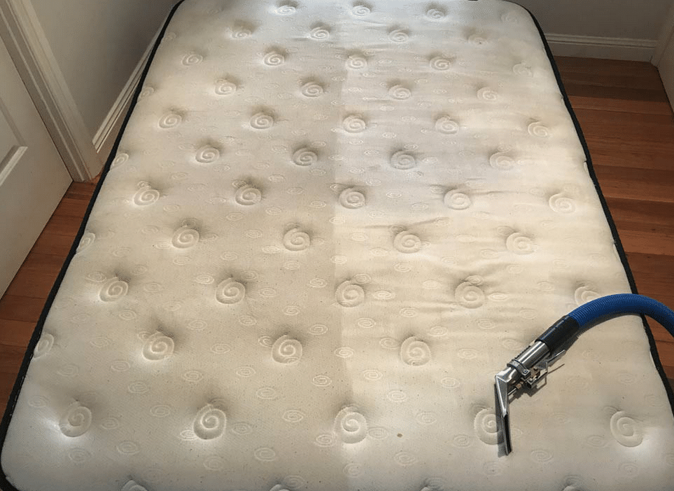 Upholstery and Mattress Cleaning